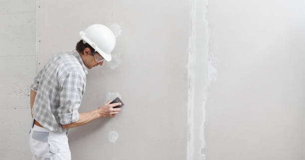 Best Basement Mold Removal  in Prescott, AR