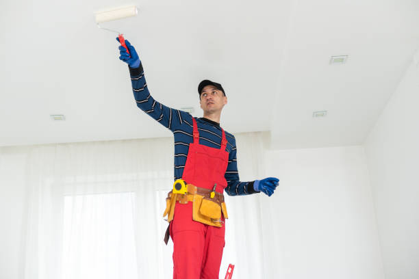Best Basement Mold Removal  in Prescott, AR