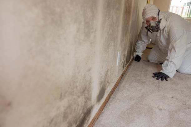 Best Industrial Mold Remediation  in Prescott, AR
